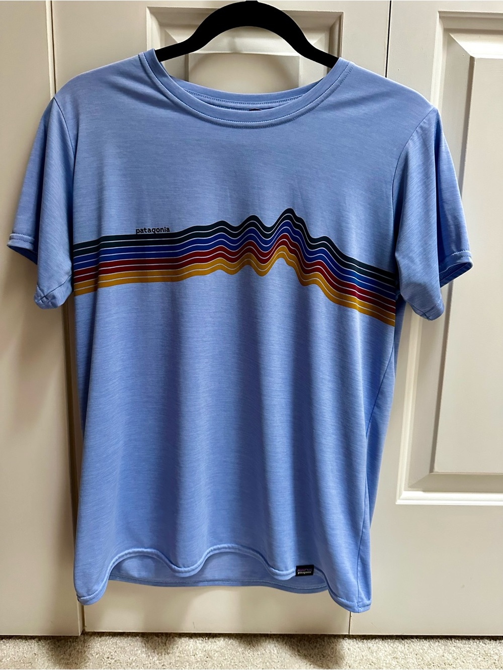 Patagonia Light Blue Short Sleeve Tee with Multicolor Wave Stripes